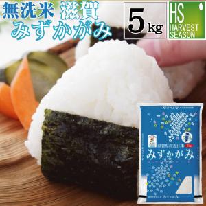 [精米時期訳あり] 令和7年産 無洗米 5kg みずかがみ 滋賀県産 送料無料　SL