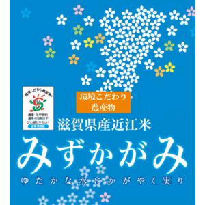 [精米時期訳あり] 令和7年産 無洗米 5kg...の詳細画像1