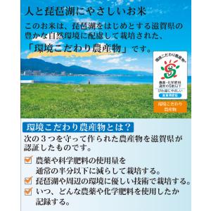 [精米時期訳あり] 令和7年産 無洗米 5kg...の詳細画像2