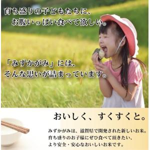[精米時期訳あり] 令和7年産 無洗米 5kg...の詳細画像3