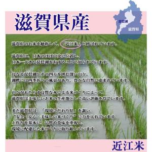 [精米時期訳あり] 令和7年産 無洗米 5kg...の詳細画像5