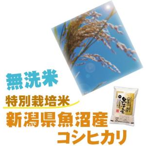 [更にお値打ち価格] 令和7年産 無洗米 5k...の詳細画像1