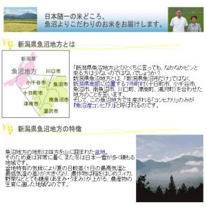 [更にお値打ち価格] 令和7年産 無洗米 5k...の詳細画像2
