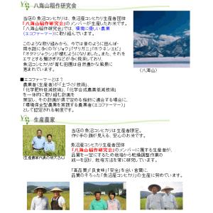 [更にお値打ち価格] 令和7年産 無洗米 5k...の詳細画像3