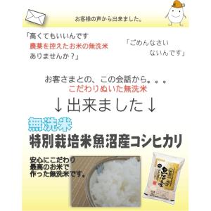 [更にお値打ち価格] 令和7年産 無洗米 5k...の詳細画像4