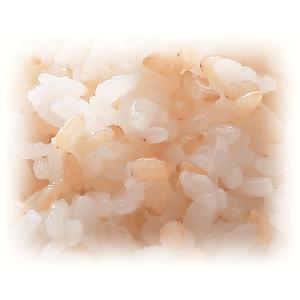 令和7年産 無洗米 玄白飯 2合(300g)×...の詳細画像2