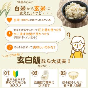 令和7年産 無洗米 玄白飯 2合(300g)×...の詳細画像3