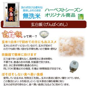 令和7年産 無洗米 玄白飯 2合(300g)×...の詳細画像4