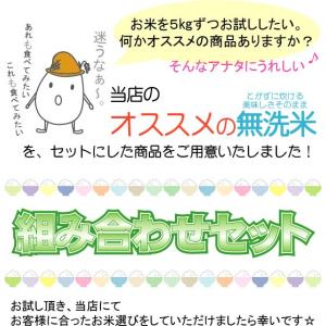 令和7年産 無洗米 10kg 食べ比べ 山形県...の詳細画像1
