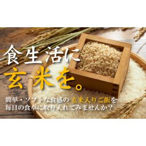 令和7年産 無洗米 玄米 玄白飯 2合(300...の詳細画像1