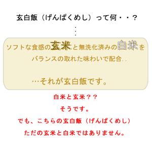 令和7年産 無洗米 玄米 玄白飯 2合(300...の詳細画像5