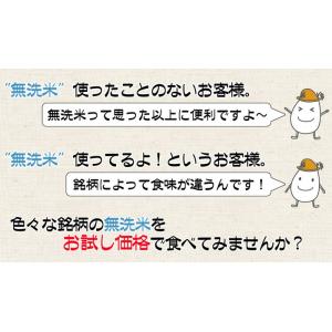 送料無料 米 無洗米 お試し 2合(300g)...の詳細画像1