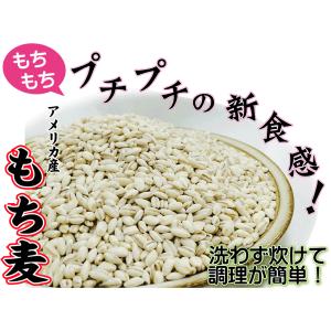もち麦 1kg (500g×2袋) (大麦) ...の詳細画像1