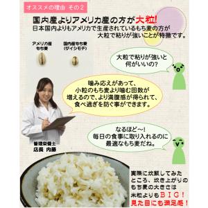 もち麦 1kg (500g×2袋) (大麦) ...の詳細画像3