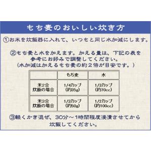 もち麦 1kg (500g×2袋) (大麦) ...の詳細画像5