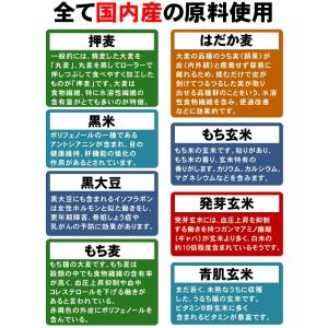 国産21穀米 計1kg(500g×2袋) メー...の詳細画像3