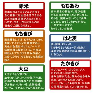 国産21穀米 計1kg(500g×2袋) メー...の詳細画像4