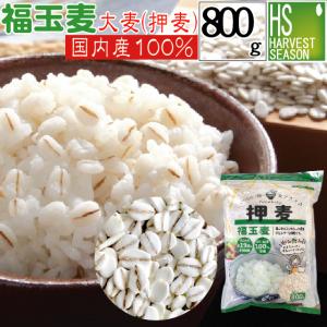 送料別 大麦 押麦 国産 福玉麦 800g 北海道&沖縄送料1520円｜hseason