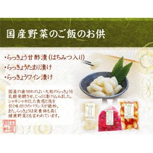【国産野菜のご飯のお供】 国産らっきょう3種セ...の詳細画像2