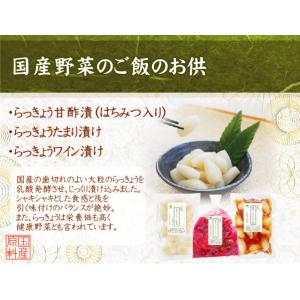 送料別 国産野菜のご飯のお供 国産らっきょうワ...の詳細画像2