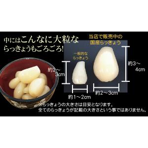 送料別 国産野菜のご飯のお供 国産らっきょうワ...の詳細画像4