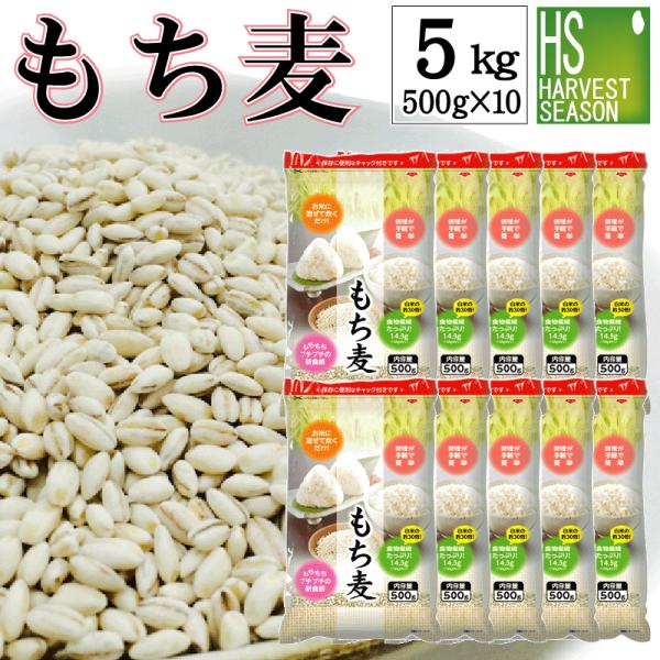 [お得な５kgまとめ買い] 雑穀 もち麦 計5kg(500g×10袋) βグルカン豊富な♪もち麦(大...