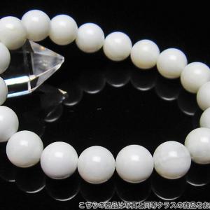 高級シャコガイ12ミリブレスレット 高級シャコガイ12ミリブレスレット 【公式通販】
