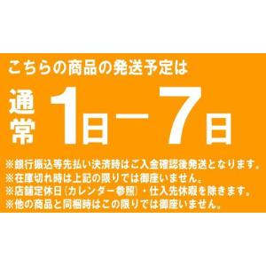 ニチネン固形燃料 トップトレーパックA(アルミ...の詳細画像1
