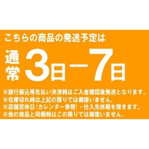 レコロ ごみ箱 タッチ25フタ レコロ25型(...の詳細画像2