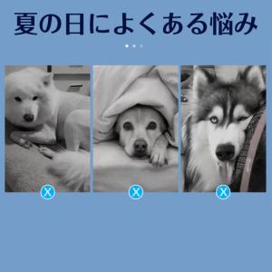 送料無料 ペットベッド 夏 クールマット ペッ...の詳細画像2