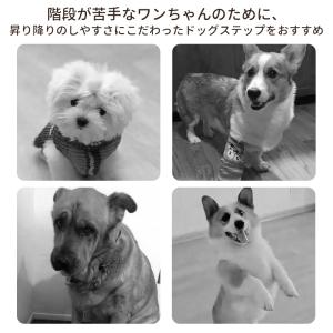 送料無料 ドッグステップ 3段 なだらか ペッ...の詳細画像1