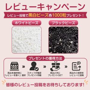 送料無料 アイロンビーズ セット パーラービー...の詳細画像1