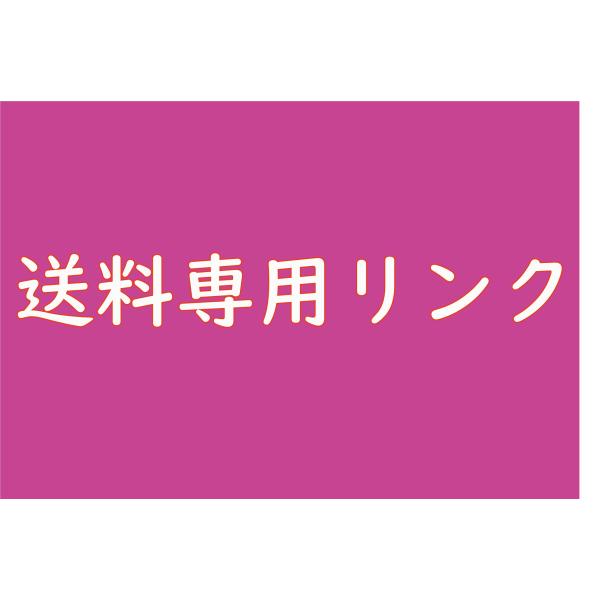 送料料金専用リンク (商品を交換、変更、返品など)