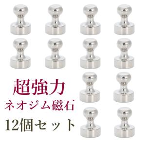 マグネットピン 超強力 12個