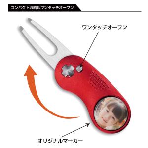 画像グリーンフォーク オリジナル グリーンフォ...の詳細画像3