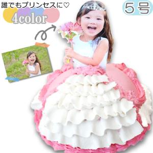 プリンセスケーキ　5号 ホワイトデー プリンセス お姫様  立体ケーキ お誕生日ケーキ バースデーケーキ  写真ケーキ