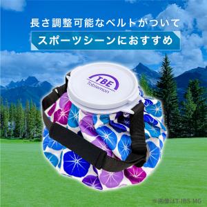 飛衛門 温冷兼用 ベルト付氷のう 氷嚢 氷のう...の詳細画像1