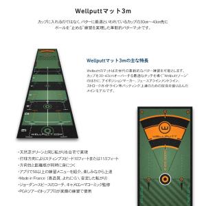 日本正規品 メインモデル Wellputtマッ...の詳細画像1
