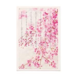 透明写真栞 しおり 文庫 かわいい 透明 ブッ...の詳細画像1