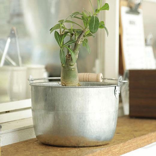 松野屋 トタン豆バケツ 大 ばけつ トタン 小さめ 収納 レトロ 日本製 掃除 キャンプ アウトドア...