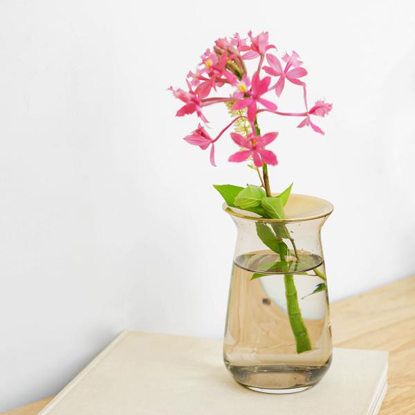 フラワーベース 花瓶 KINTO LUNA ベース 80x130mm 一輪挿し 多肉植物 水耕栽培 ...