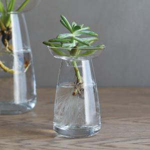 花器 200ml 小 ガラス おしゃれ 生け花 ガラス花器 ヒヤシンス 球根類