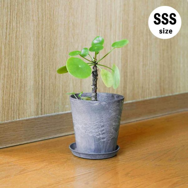 プランター 鉢 植木鉢 3号 4号 amabro ART STONE（SSS） アートストーン イン...