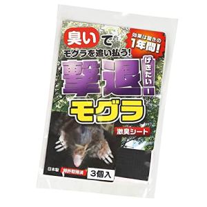 撃退モグラ激臭シート 3個入 もぐら対策 激辛臭が約２倍の強力タイプ 効果は驚きの１年間！｜hth-department