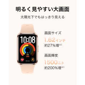 HUAWEI Band 11 Aluminum...の詳細画像1