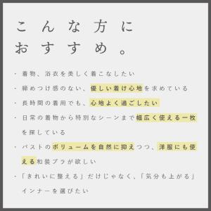 和装ブラ 和装ブラジャー 胸つぶし 胸を小さく...の詳細画像3