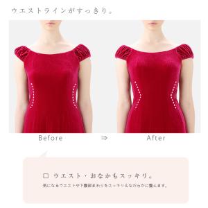 フラダンス インナー ハイウエストガードル 単...の詳細画像1