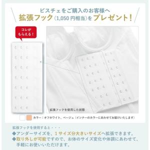 ドレスインナー ビスチェ (HULAスマートリ...の詳細画像1