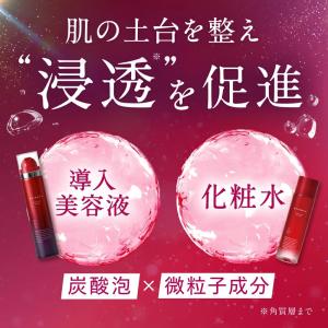 導入美容液 化粧水 ESIENCE ナノシープ...の詳細画像3