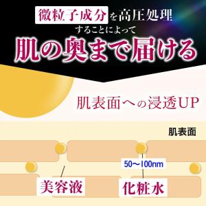 導入美容液 化粧水 ESIENCE ナノシープ...の詳細画像4
